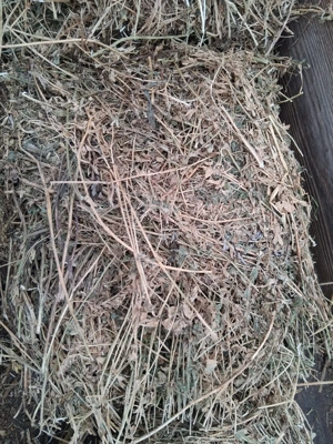 vand lucerna si fan - imagine 5