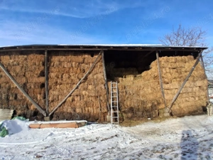 vand lucerna si fan - imagine 3