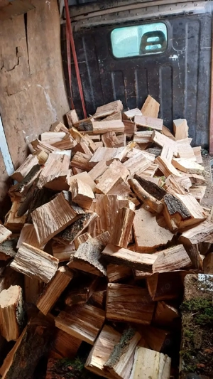 lemne de foc  - imagine 4