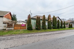 Casă cu livadă + curte 2500 mp în Dorobanți