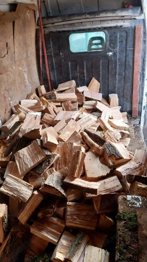 lemne de foc  - imagine 5