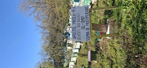 Vand familii de albine