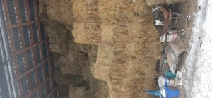 Baloți fân și lucernă  - imagine 2