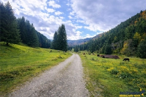 Teren intravilan panoramic 4.600mp,view iconic Piatra Craiului,oportunitate premium - imagine 7