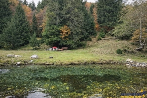 Teren intravilan panoramic 4.600mp,view iconic Piatra Craiului,oportunitate premium - imagine 2