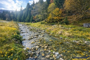 Teren intravilan panoramic 4.600mp,view iconic Piatra Craiului,oportunitate premium - imagine 5