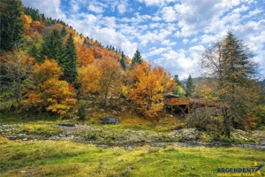 Teren intravilan panoramic 4.600mp,view iconic Piatra Craiului,oportunitate premium - imagine 6