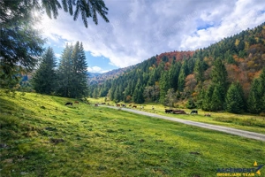 Teren intravilan panoramic 4.600mp,view iconic Piatra Craiului,oportunitate premium - imagine 3