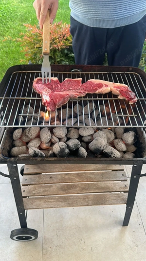 Carbune ecologic  ISTANT FIRE - imagine 3