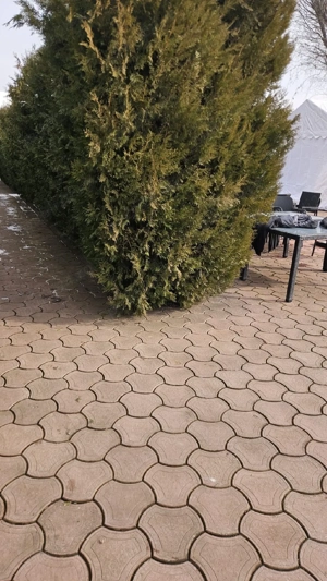 Vând pavele second hand - imagine 4