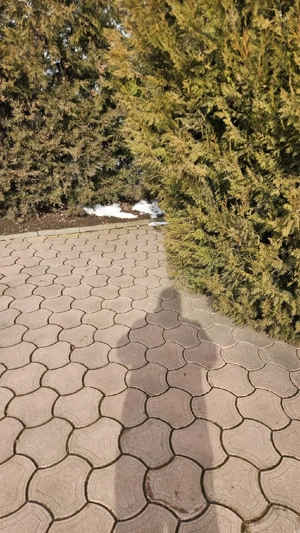 Vând pavele second hand - imagine 5