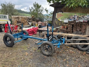 Caruta 1 Cal  - imagine 2