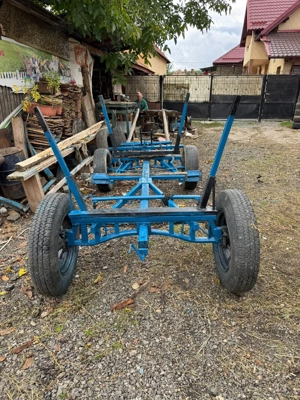 Caruta 1 Cal  - imagine 3