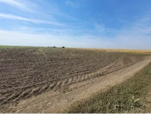 teren agricol 4 ha comasat
