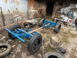 curuta 2 cai  - imagine 2