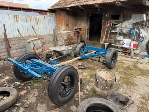 curuta 2 cai  - imagine 4