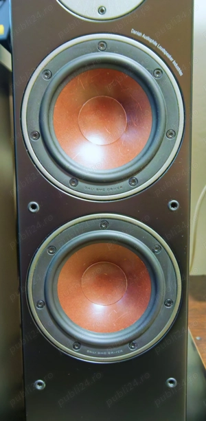 Boxe de pardoseală Dali Oberon 5 - imagine 2