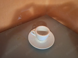 Vesela si tacamuri profesionale