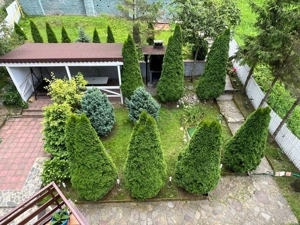 Vila de vanzare in Predeal - imagine 7