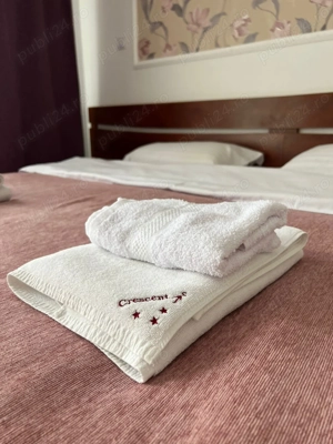 Vila de vanzare in Predeal - imagine 19