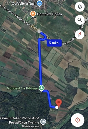 Teren de vanzare pădure giroc  - imagine 6