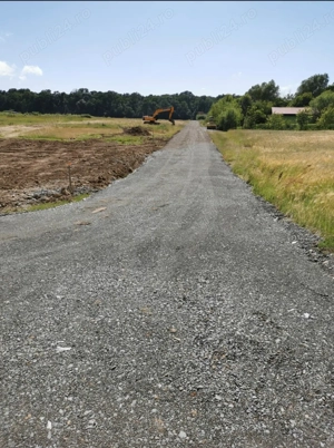 Teren de vanzare pădure giroc  - imagine 2