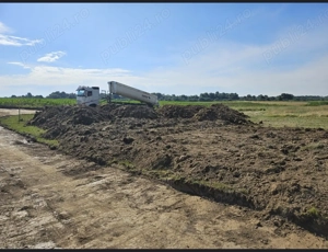 Teren de vanzare pădure giroc  - imagine 4