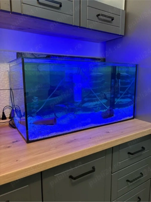 Vand Acvariu Complect de 120 Litri