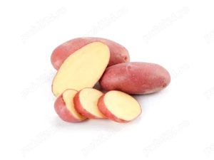 cartofi roz si albi de consum