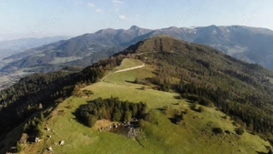 Valea Mare Pravat, lângă Câmpulung Muscel   Pasune Vânzare  Teren 13.720 mp