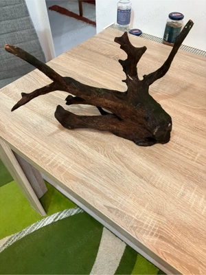 Vand Decoratiune pt Acvarii Lemn Red Moor - imagine 3