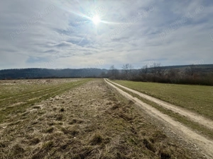 Teren intravilan de vânzare   802 mp   zona Salciua   Herneacova - imagine 5