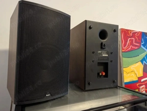 Boxe Boston Cr7 (made in USA) 