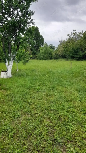 Vind teren 2500mp, la 8km.de Alexandria  - imagine 3