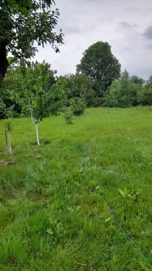 Casă de vînzare la țară cu teren 2500 mp.Apa,curent, și canal - imagine 9