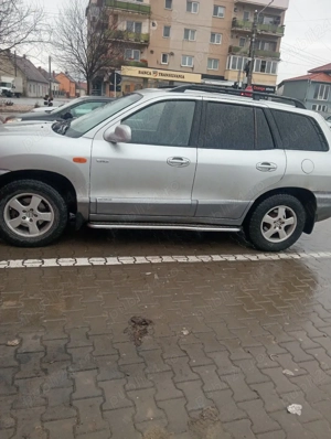 Șoldani de vânzare  - imagine 3