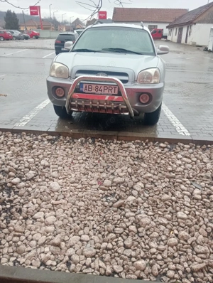 Șoldani de vânzare  - imagine 5