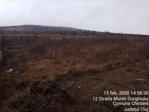 Vând teren intravilan la intrare în comuna Chinteni jud. Cluj  - imagine 4