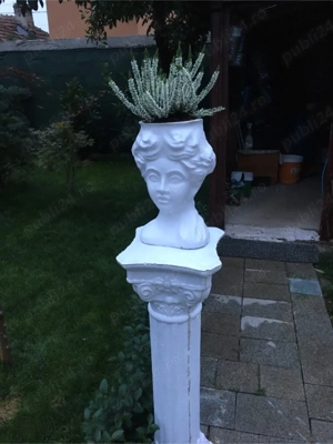 Sofer cat b.   - imagine 3