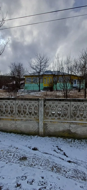 Vînd casa cu gradina