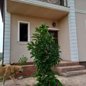 De vanzare teren plus fundatie casa cu etaj si proiect  - imagine 5