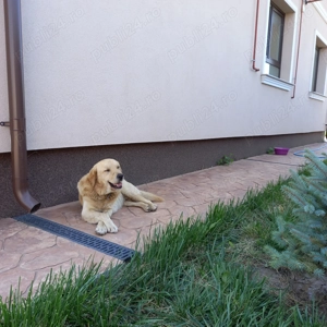 De vanzare teren plus fundatie casa cu etaj si proiect  - imagine 8