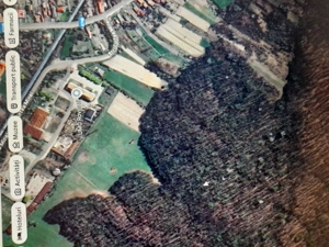 Teren forestier-padure - imagine 2