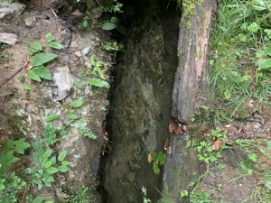 Oportunitate, teren la munte in Apuseni 3,2 ha posibilitate RATE - imagine 5