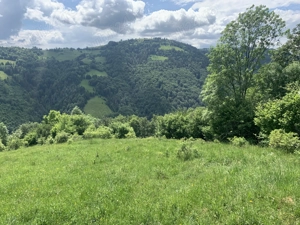 Oportunitate, teren la munte in Apuseni 3,2 ha posibilitate RATE