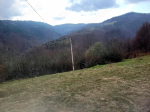 Oportunitate, teren la munte in Apuseni 3,2 ha posibilitate RATE - imagine 14