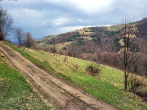 Oportunitate, teren la munte in Apuseni 3,2 ha posibilitate RATE - imagine 19