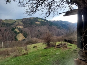 Oportunitate, teren la munte in Apuseni 3,2 ha posibilitate RATE - imagine 22