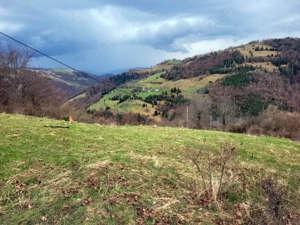 Oportunitate, teren la munte in Apuseni 3,2 ha posibilitate RATE - imagine 21