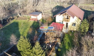 Vanzare casa individuala Buturugeni Giurgiu - imagine 15